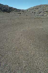 How long will these footsteps last?