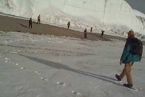 Frisbee on the beach, anyone?