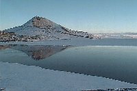 thumbmcmurd~1.jpg (6554 bytes)