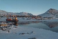 thumbmcmurd~2.jpg (8184 bytes)